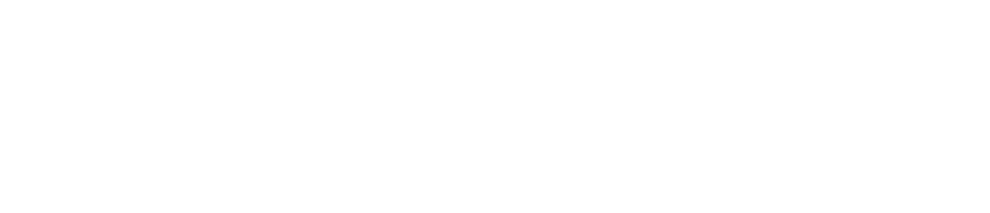 ENDRESS Power Generators